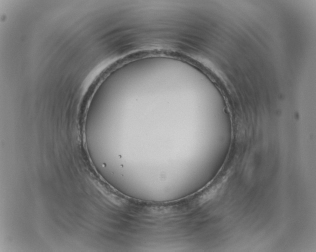 X0000074290927200609151913