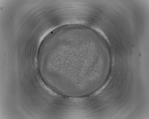 X0000074290928200609151913