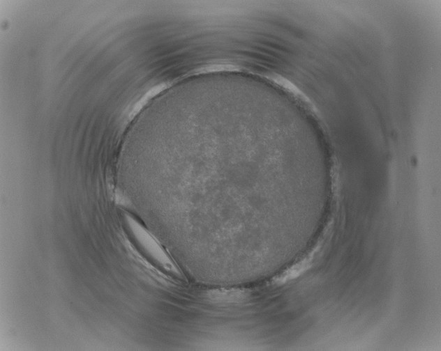 X0000074290929200609151913