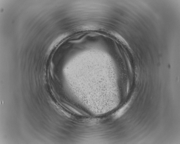 X0000074290930200609151913