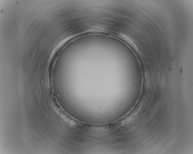 X0000074290931200609151913