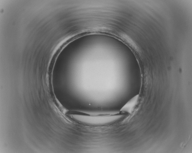 X0000074290932200609151913