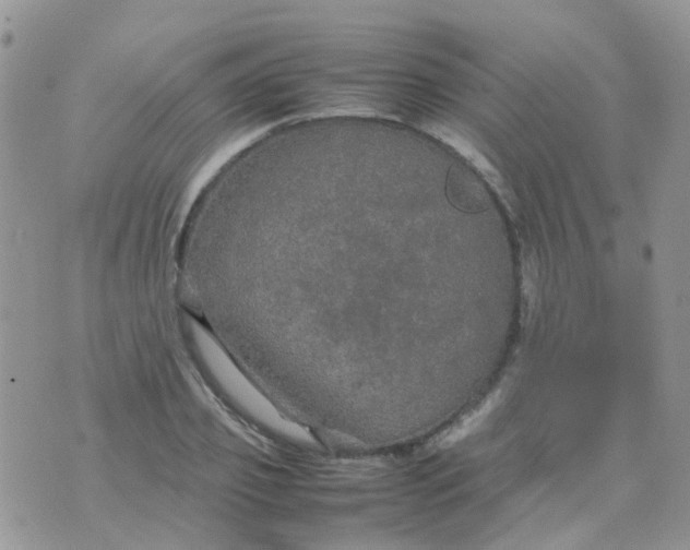 X0000074290933200609151913