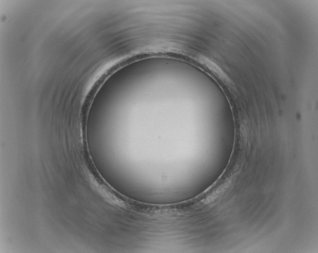 X0000074290934200609151913