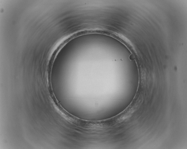 X0000074290935200609151913