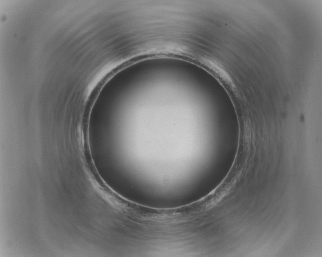 X0000074290936200609151913