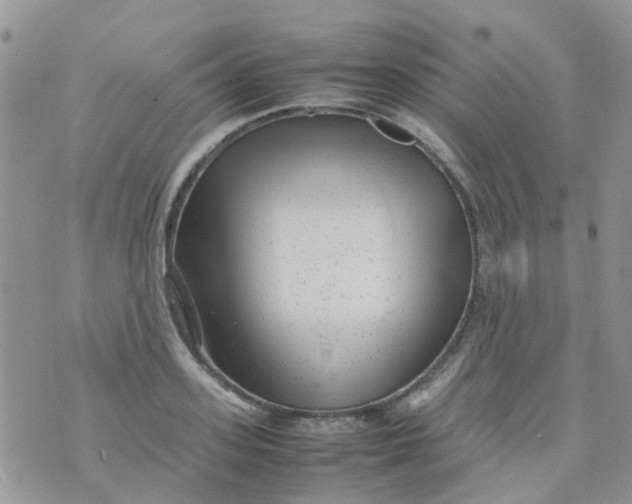 X0000074290939200609151913