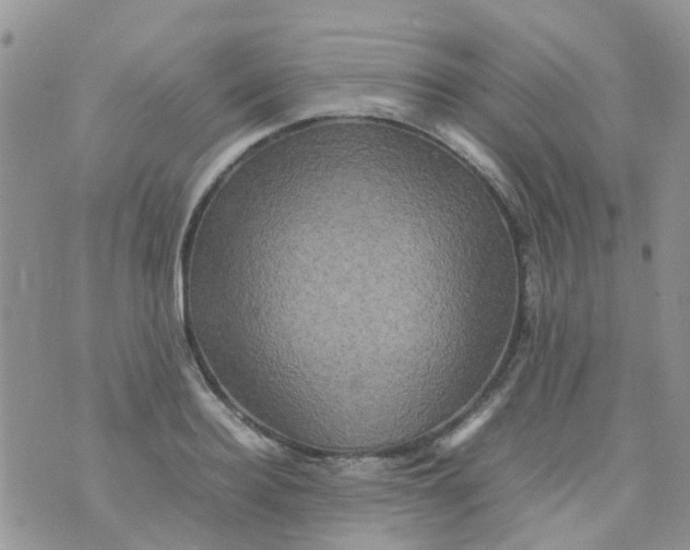 X0000074290940200609151913