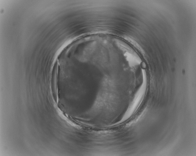 X0000074290941200609151913