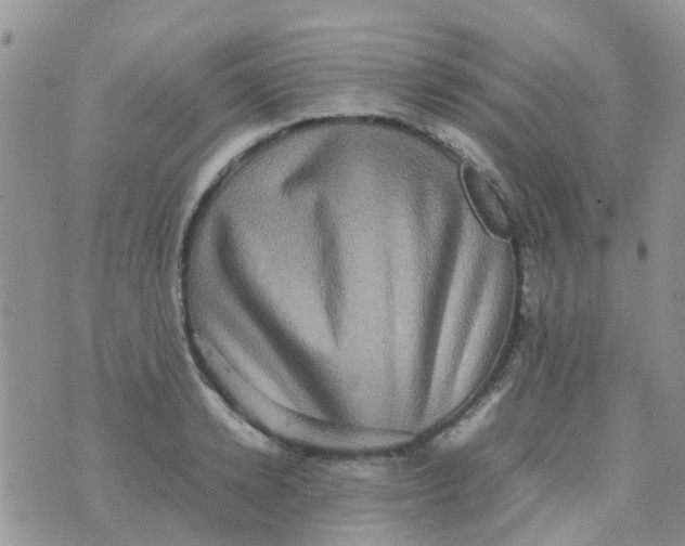 X0000074290942200609151913