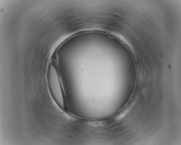 X0000074290943200609151913