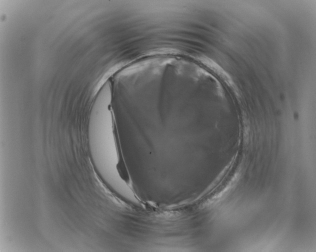 X0000074290945200609151913