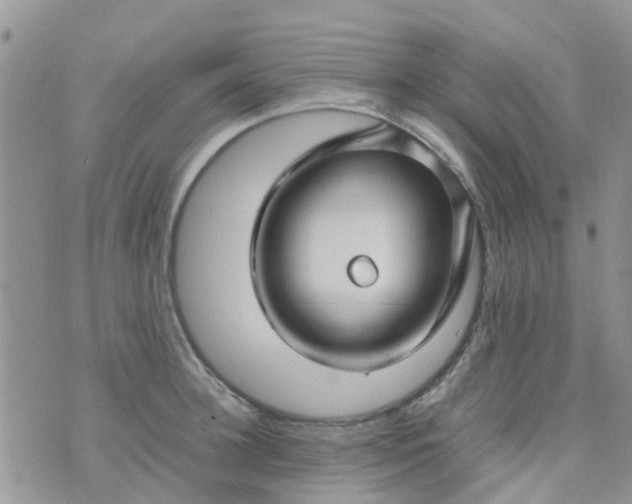 X0000074290948200609151913