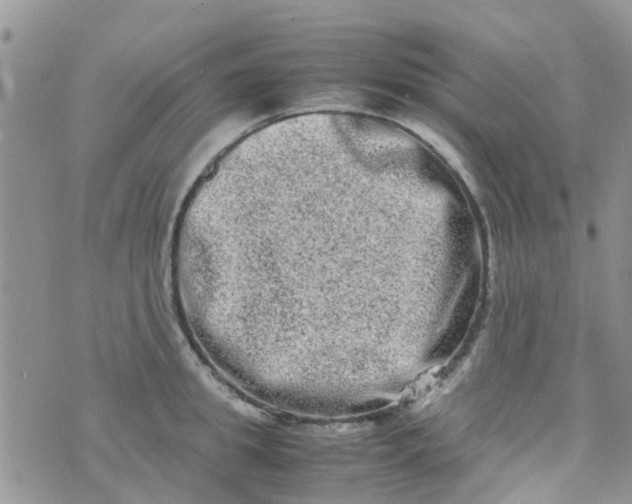 X0000074290949200609151913