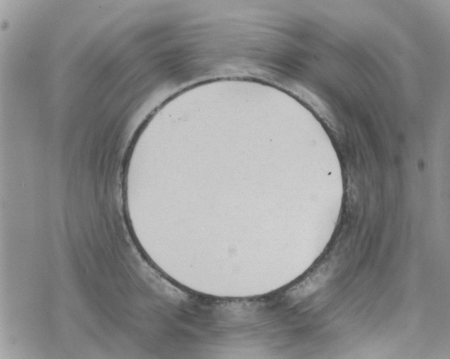 X0000074290950200609151913