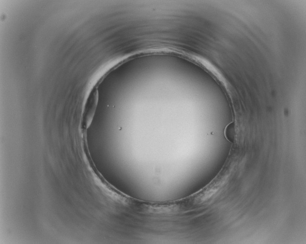 X0000074290951200609151913