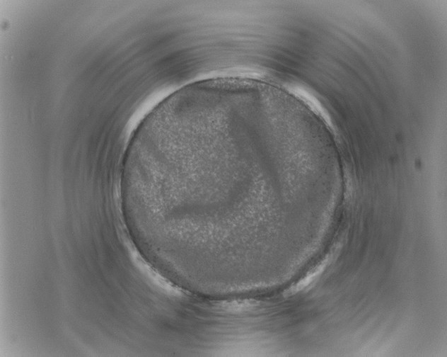 X0000074290952200609151913