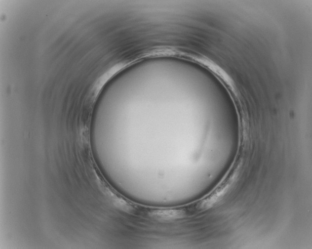 X0000074290953200609151913