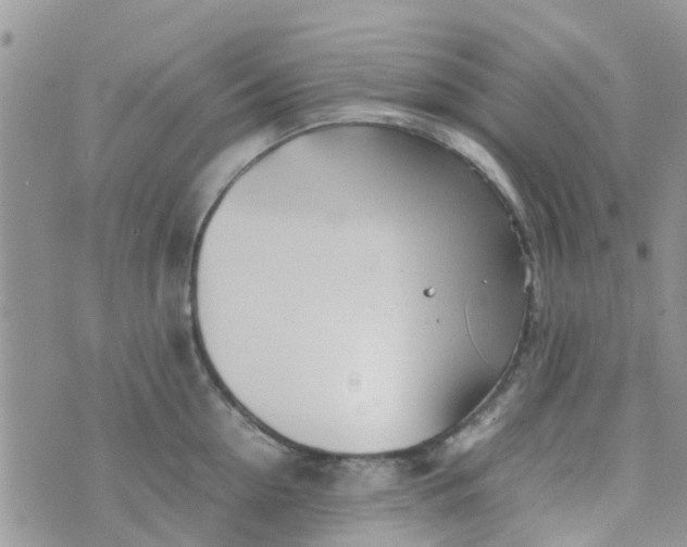 X0000074290954200609151913