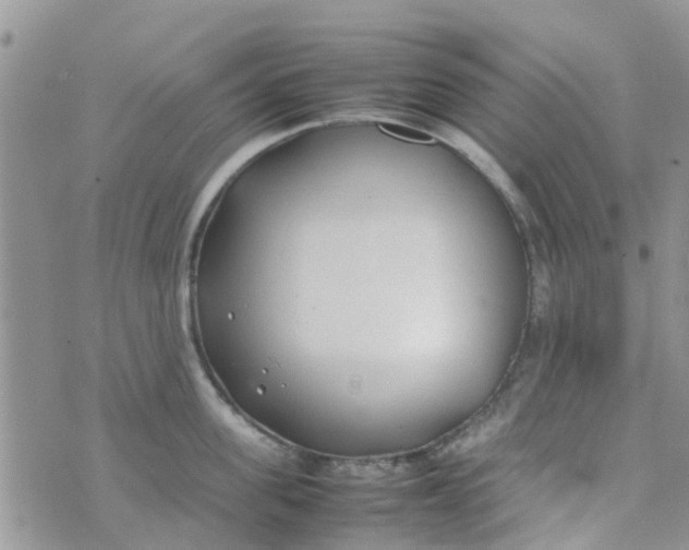 X0000074290955200609151913