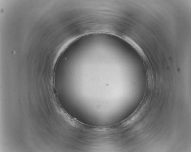 X0000074290956200609151913