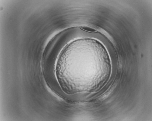 X0000074290958200609151913