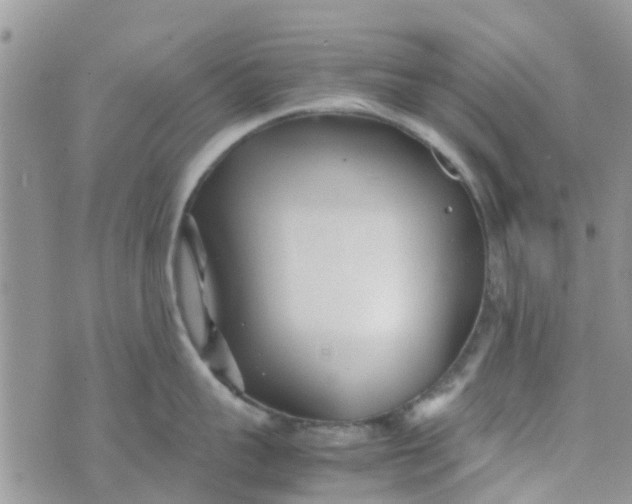 X0000074290959200609151913