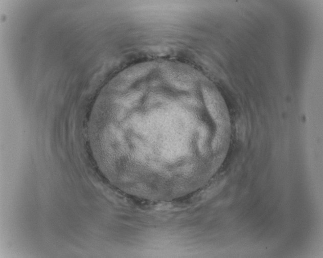 X0000074290961200609151913