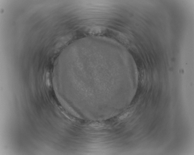 X0000074290962200609151913