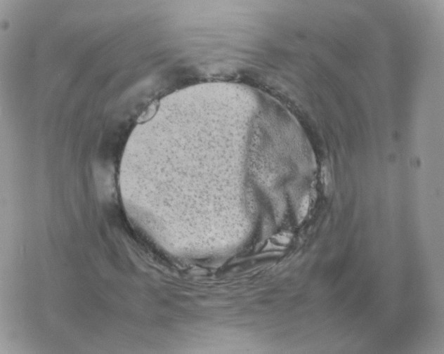 X0000074290963200609151913