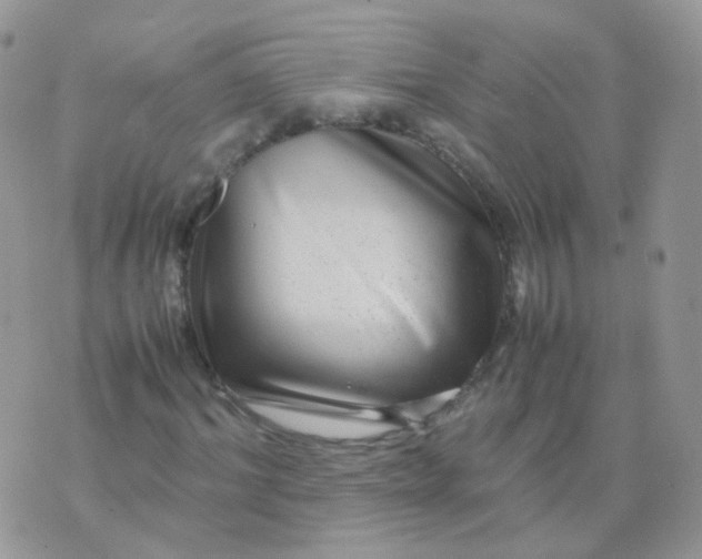 X0000074290964200609151913