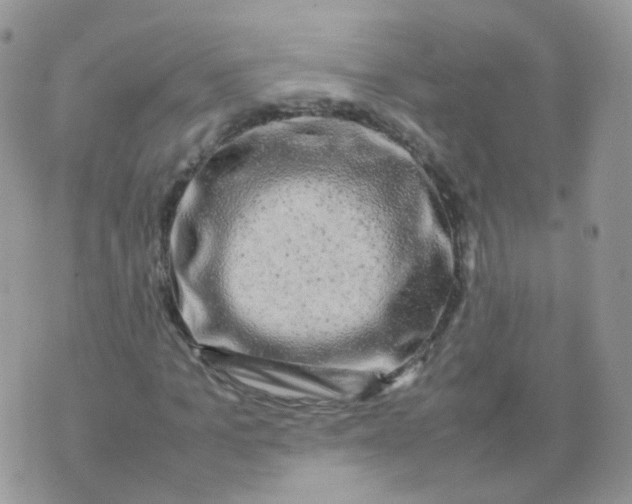 X0000074290965200609151913