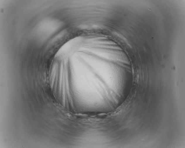 X0000074290966200609151913