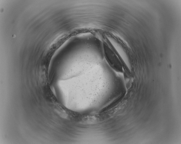 X0000074290968200609151913