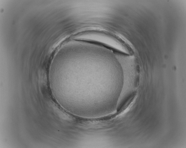 X0000074290969200609151913