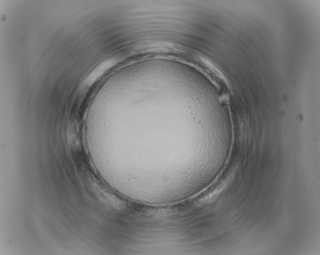 X0000074290970200609151913