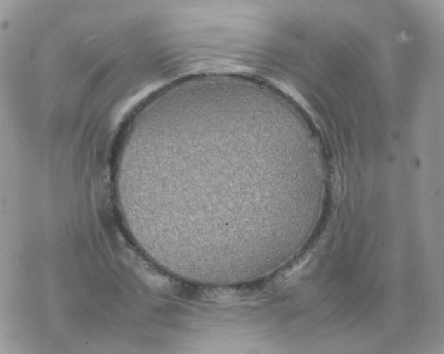 X0000074290971200609151913