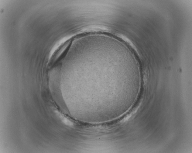 X0000074290973200609151912