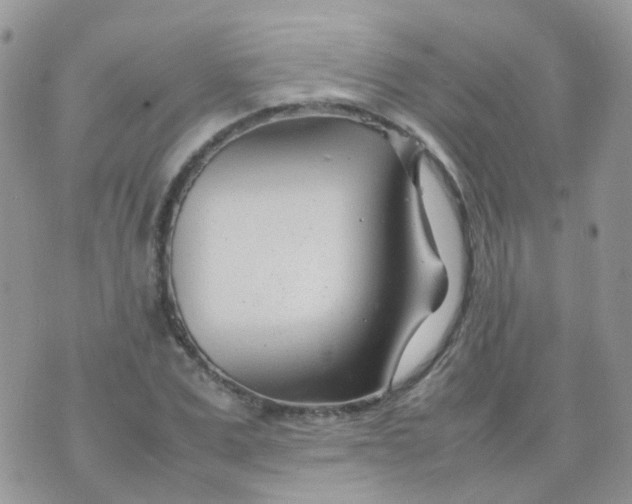 X0000074290975200609151912