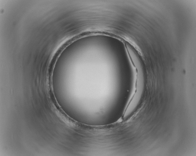 X0000074290976200609151912