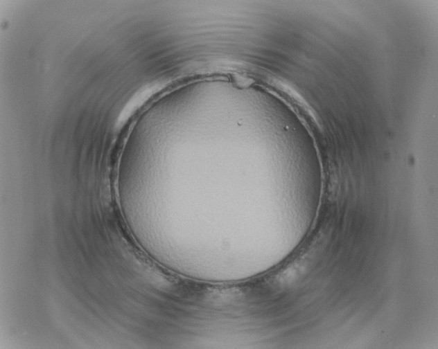 X0000074290978200609151912