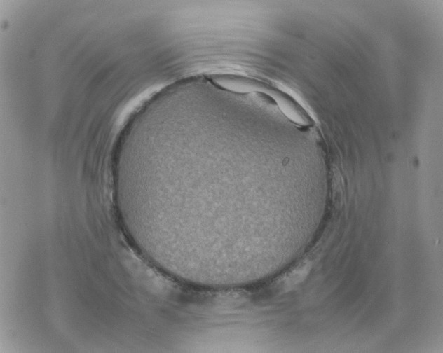 X0000074290979200609151912