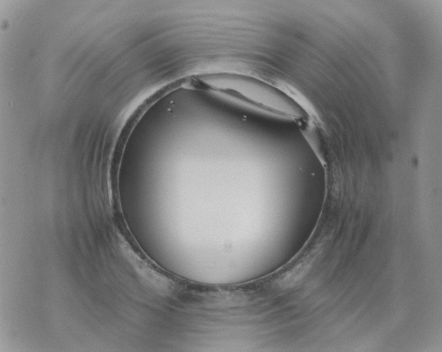 X0000074290980200609151912