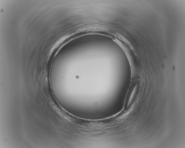 X0000074290981200609151912