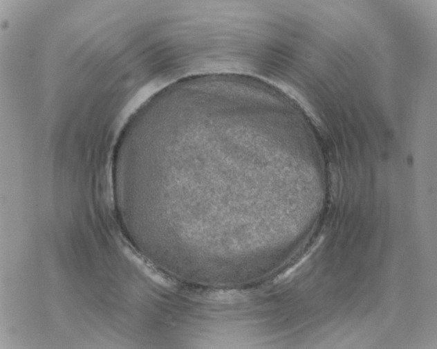 X0000074290982200609151912