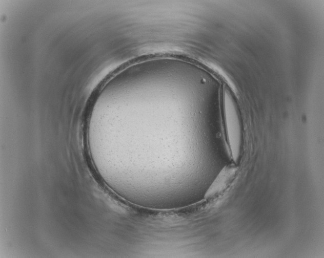 X0000074290983200609151912