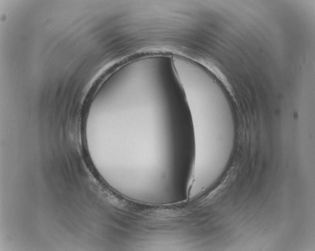 X0000074290984200609151912