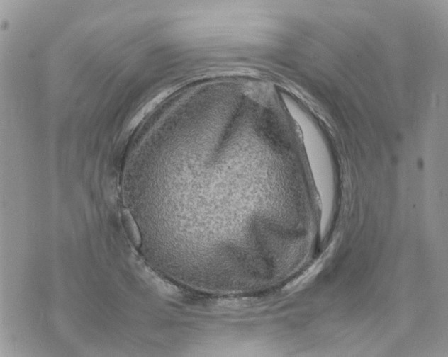 X0000074290985200609151912