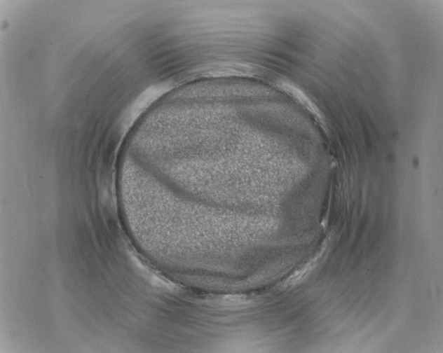 X0000074290986200609151912