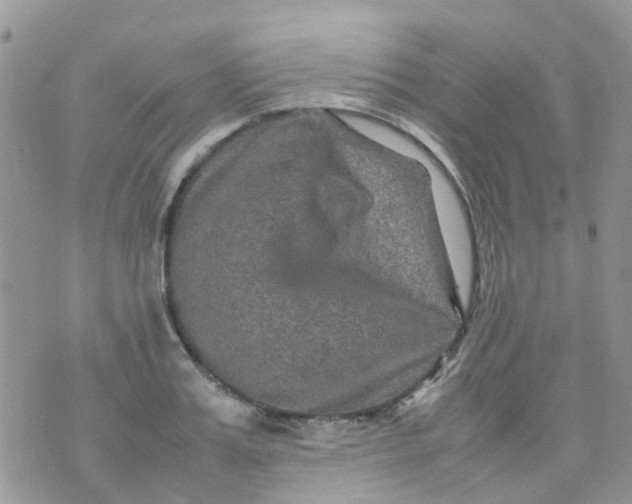 X0000074290987200609151912